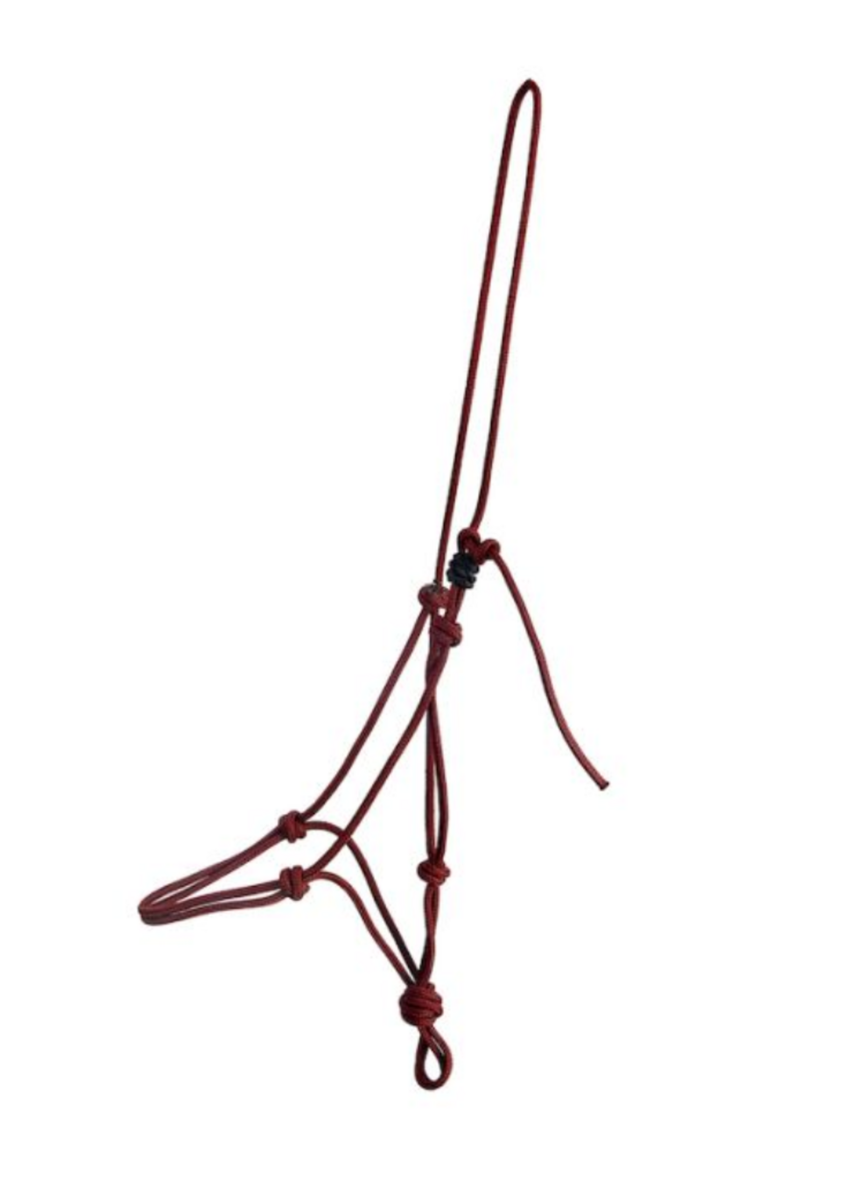 FRA FRA Lazy Koorden Halster 601313