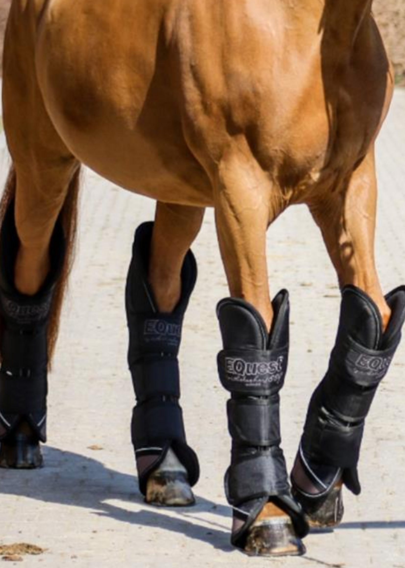 Equest Equest Transportbeschermers 4st.