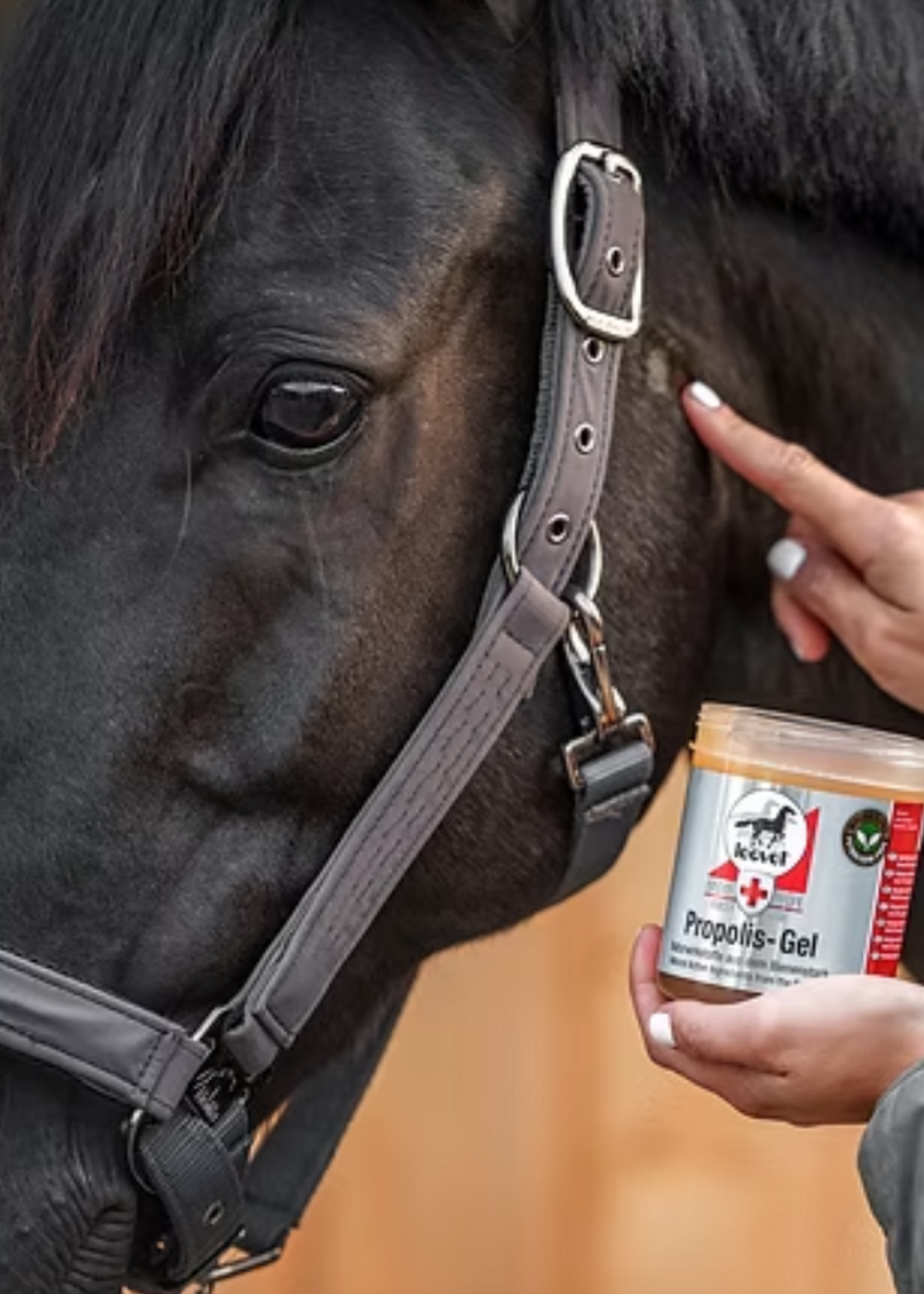 Leovet Leovet Propolis Gel