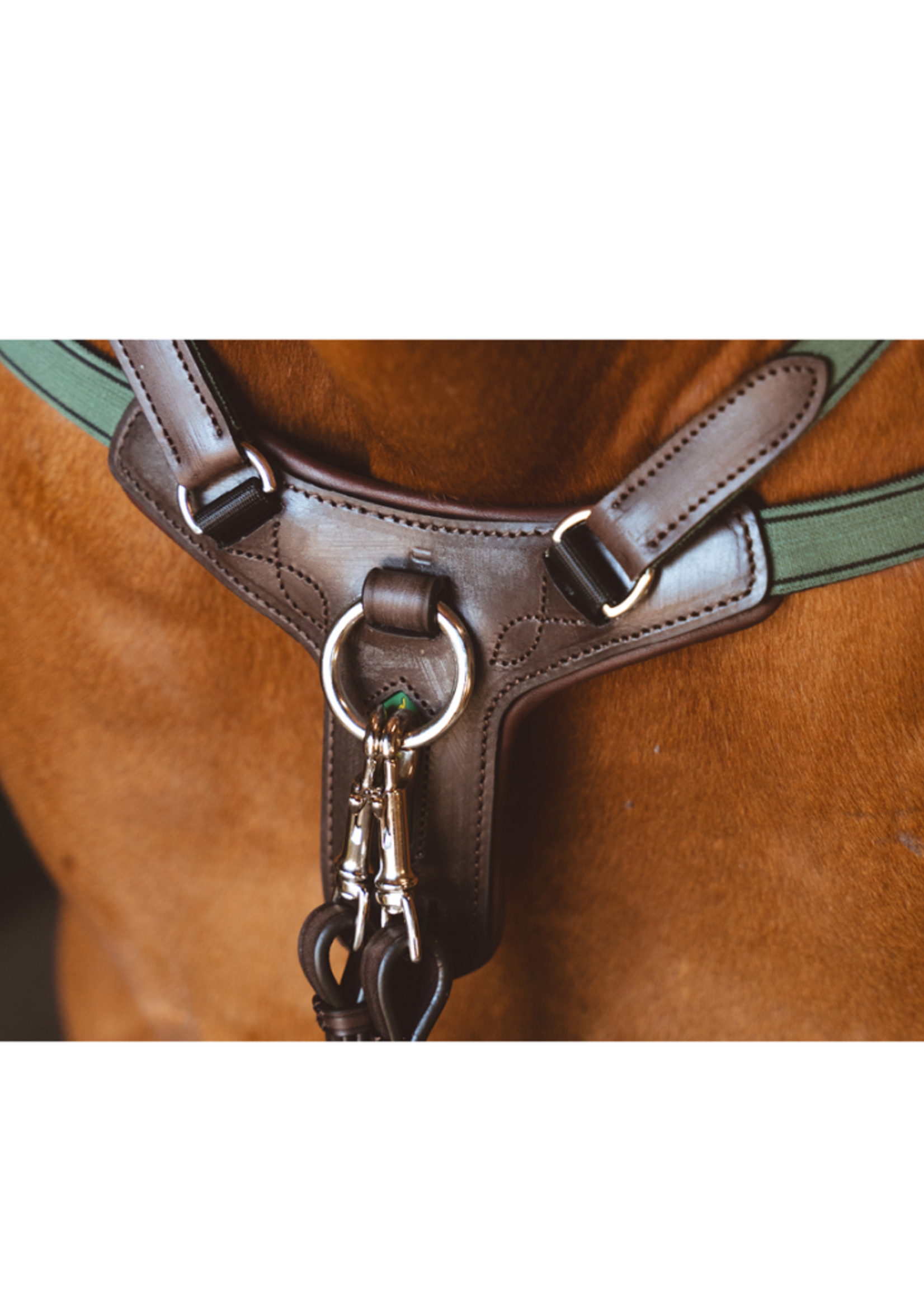 Amerigo Amerigo Event Martingale