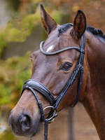 Passier Passier Shadow Aansnoerneusriem Hoofdstel