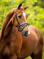 BR BR Allerdale Hoofdstel