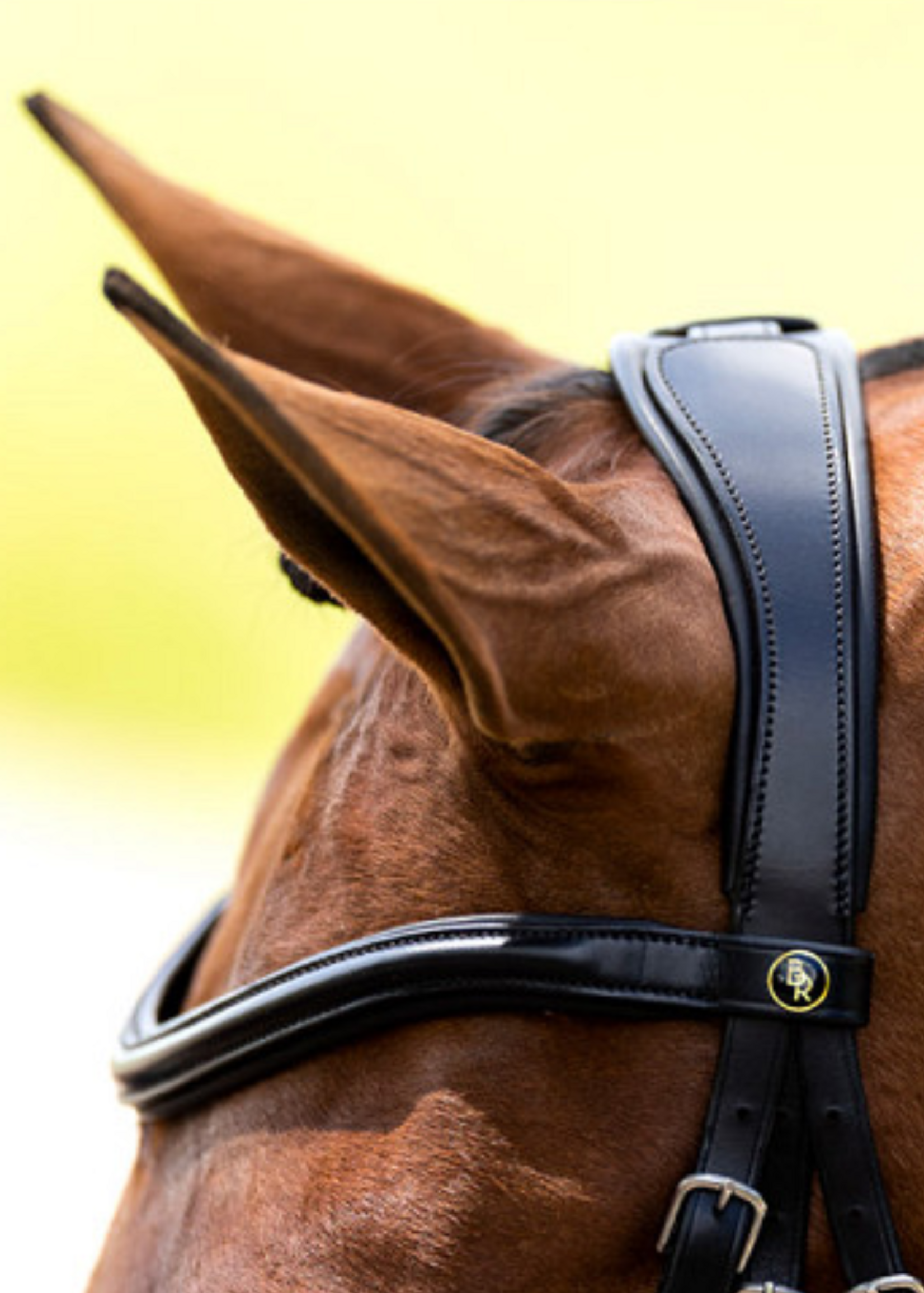 BR BR Howden  Hoofdstel