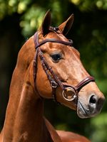 BR BR Howden  Hoofdstel