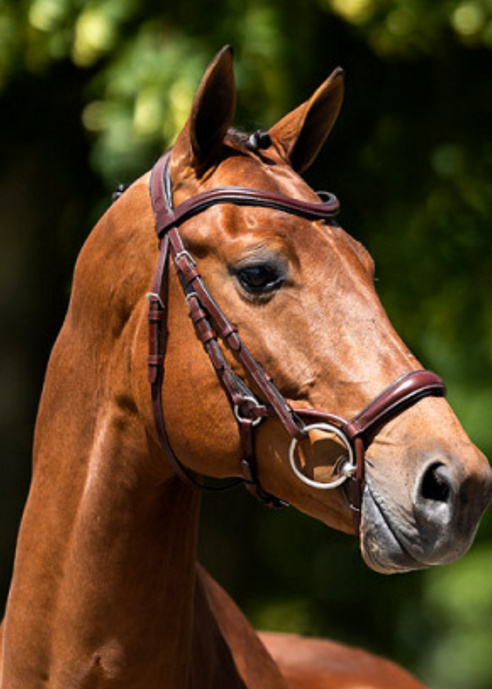 BR BR Howden  Hoofdstel