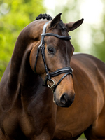 BR BR Luton  Hoofdstel