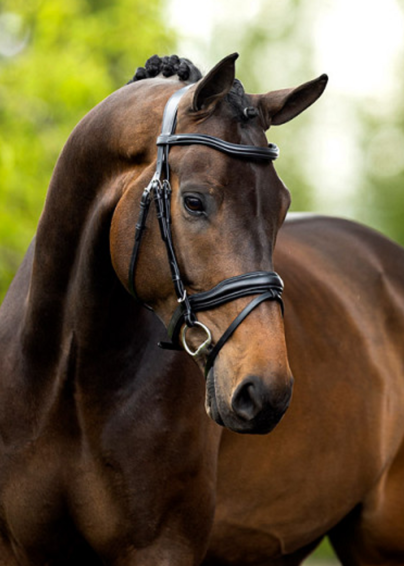 BR BR Luton  Hoofdstel