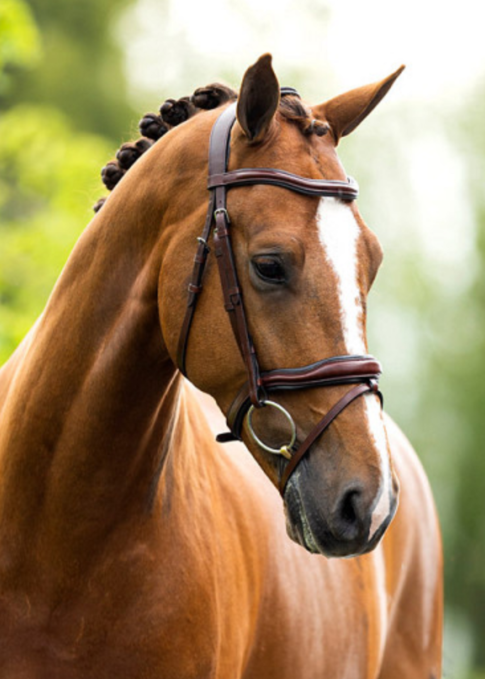 BR BR Luton  Hoofdstel