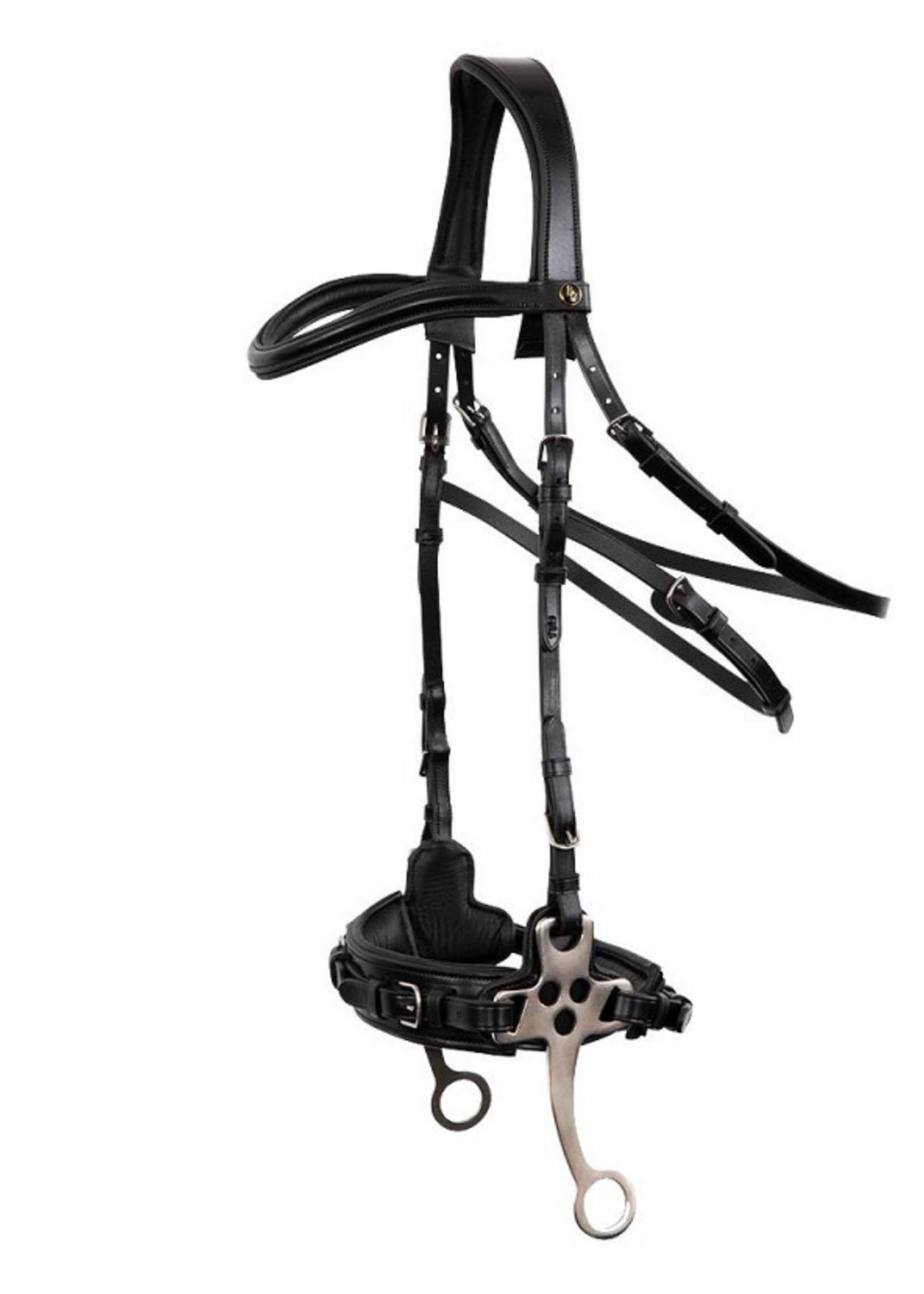 BR BR Lydney Hackamore Hoofdstel