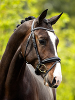 BR BR rond genaaid Southam Hoofdstel