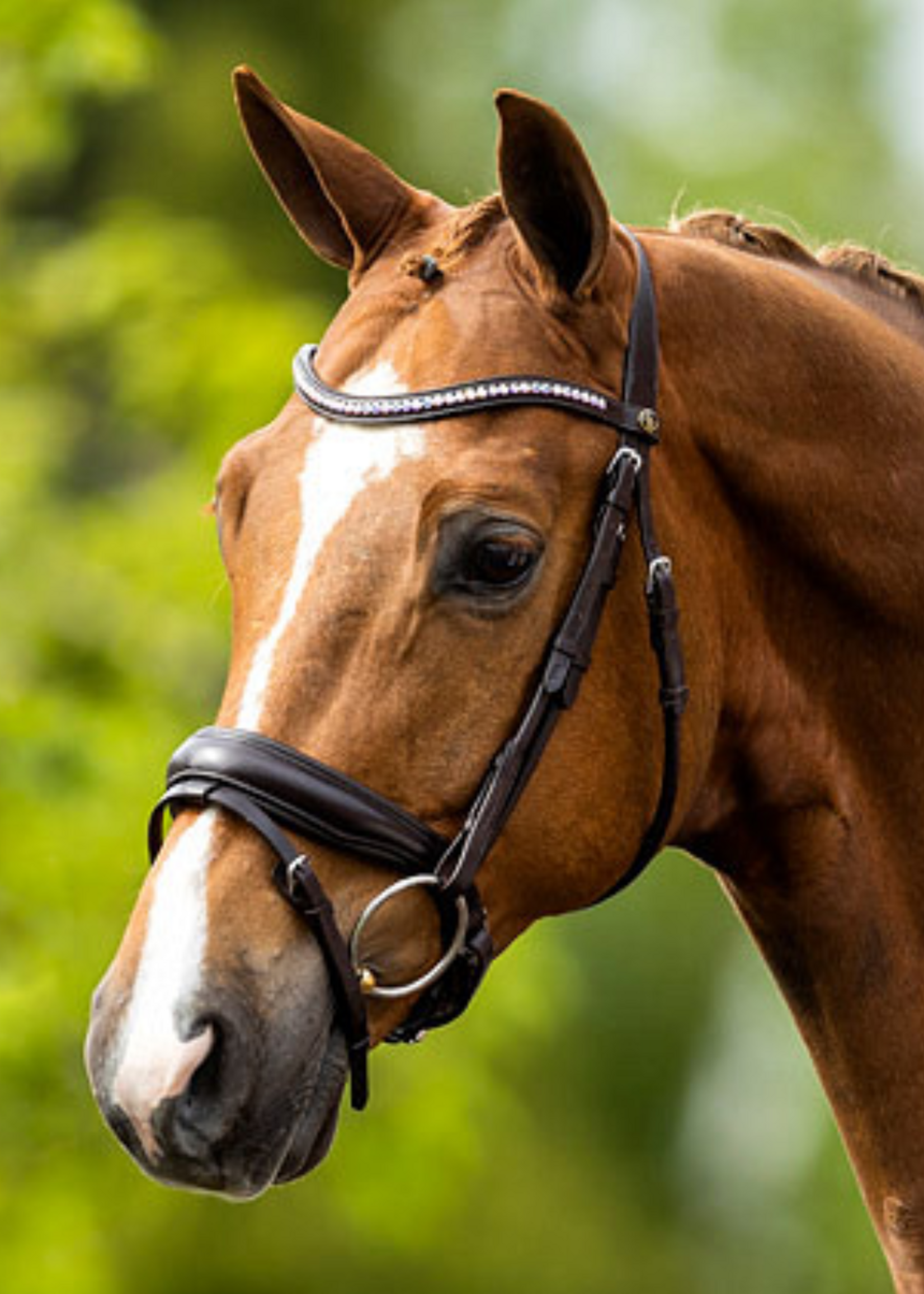 BR BR rond genaaid Southam Hoofdstel