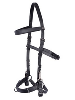 Harry’s horse Harry  Leren hoofdstel/ Kaptoom