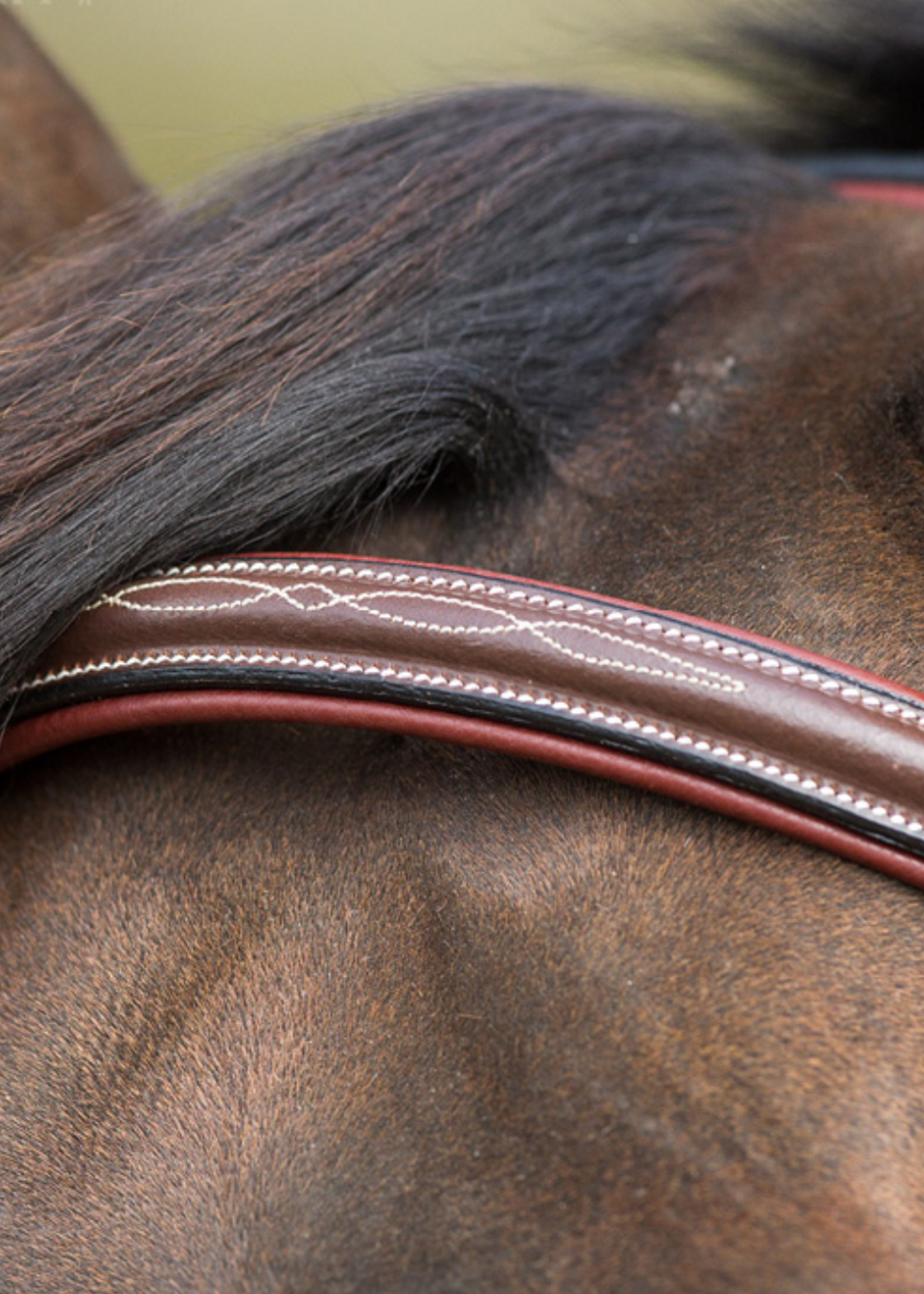 HFI HFI Mexicaans Hoofdstel