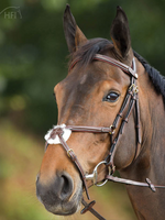 HFI HFI Mexicaans Hoofdstel