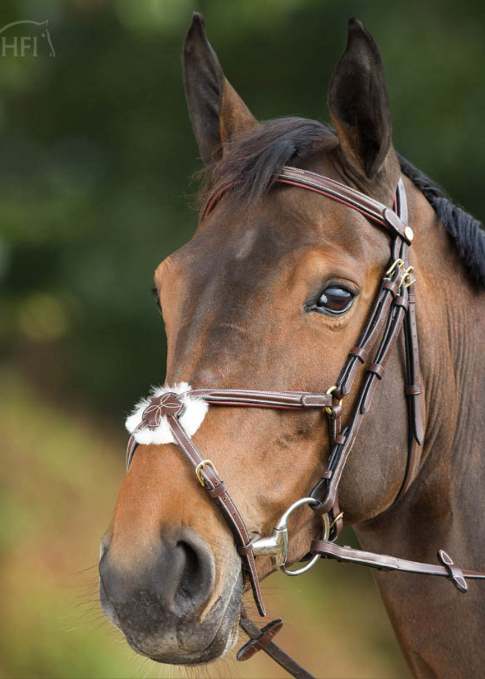 HFI HFI Mexicaans Hoofdstel