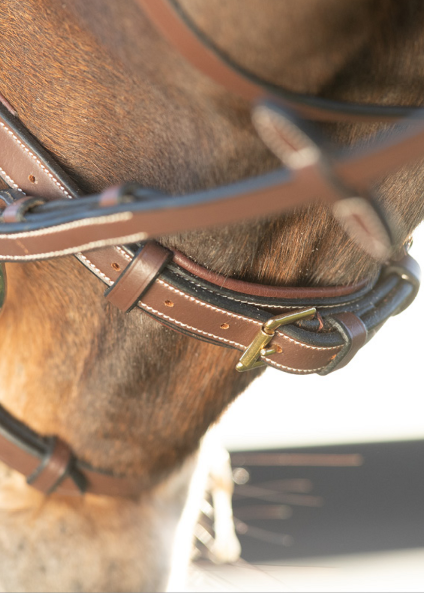 HFI HFI Technical Hoofdstel  HFI013