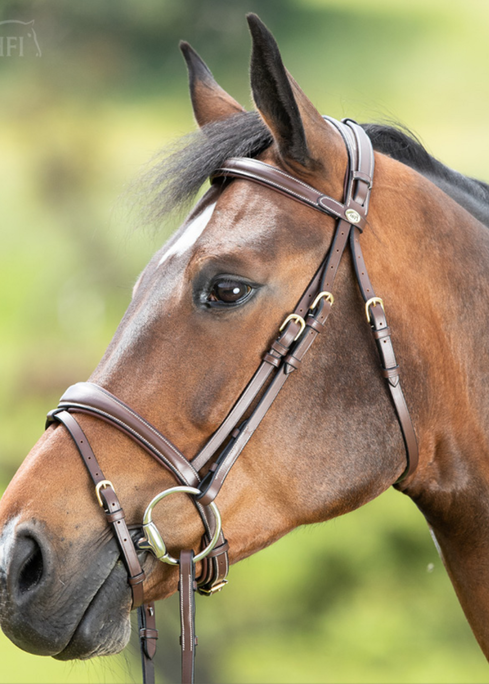 HFI HFI Technical Hoofdstel  HFI013