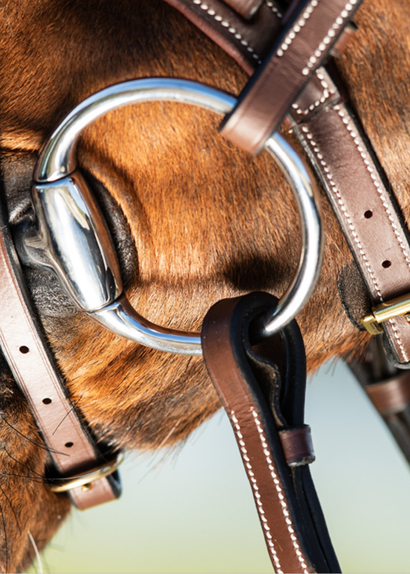 HFI HFI Techno Hoofdstel