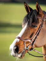 HFI HFI Techno Hoofdstel