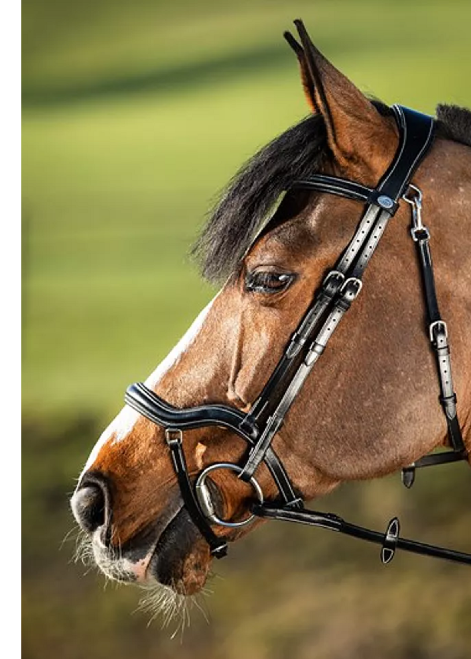 HFI HFI Techno Hoofdstel