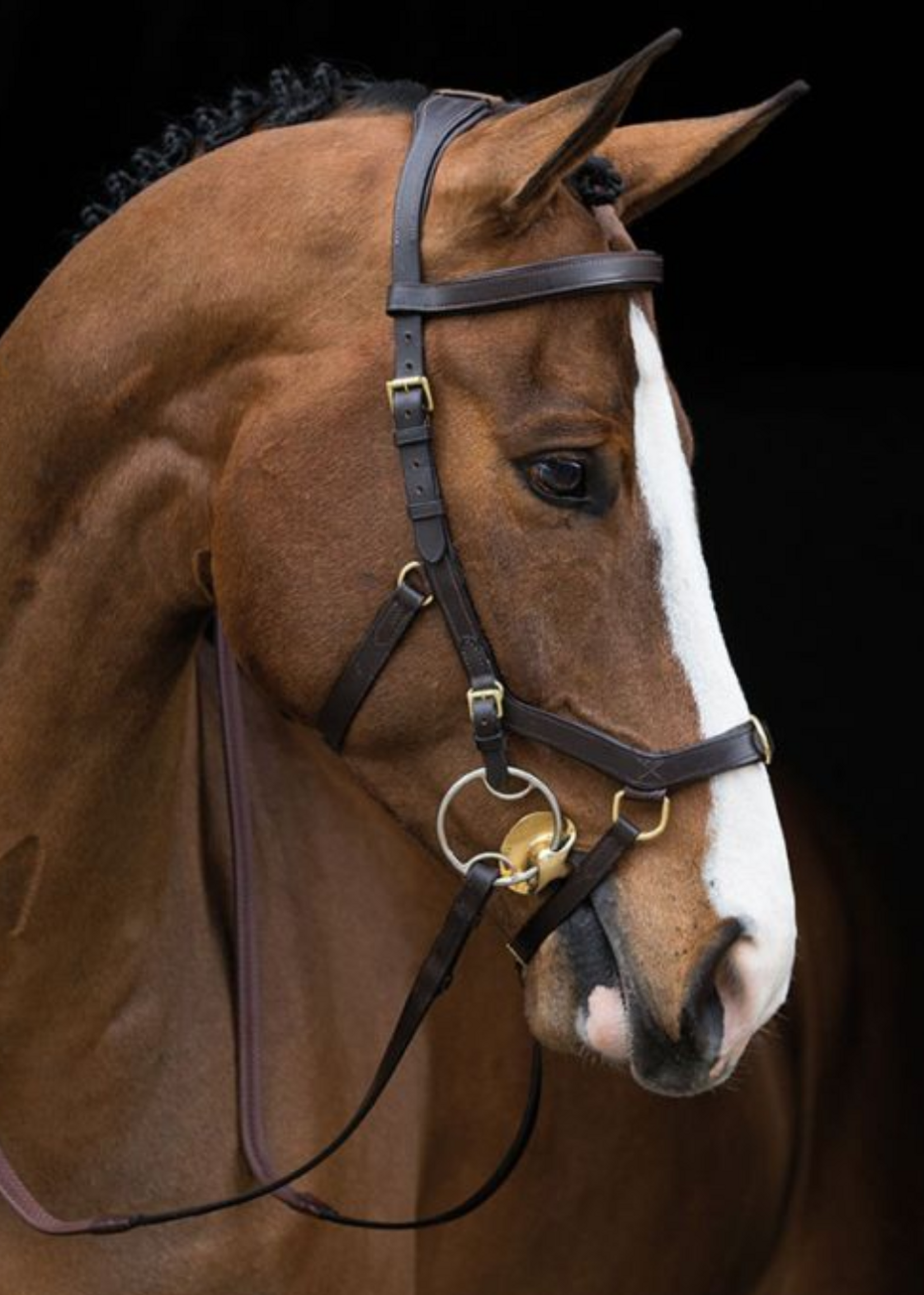 Horseware Horseware Rambo Micklem Multi Prof  Hoofdstel