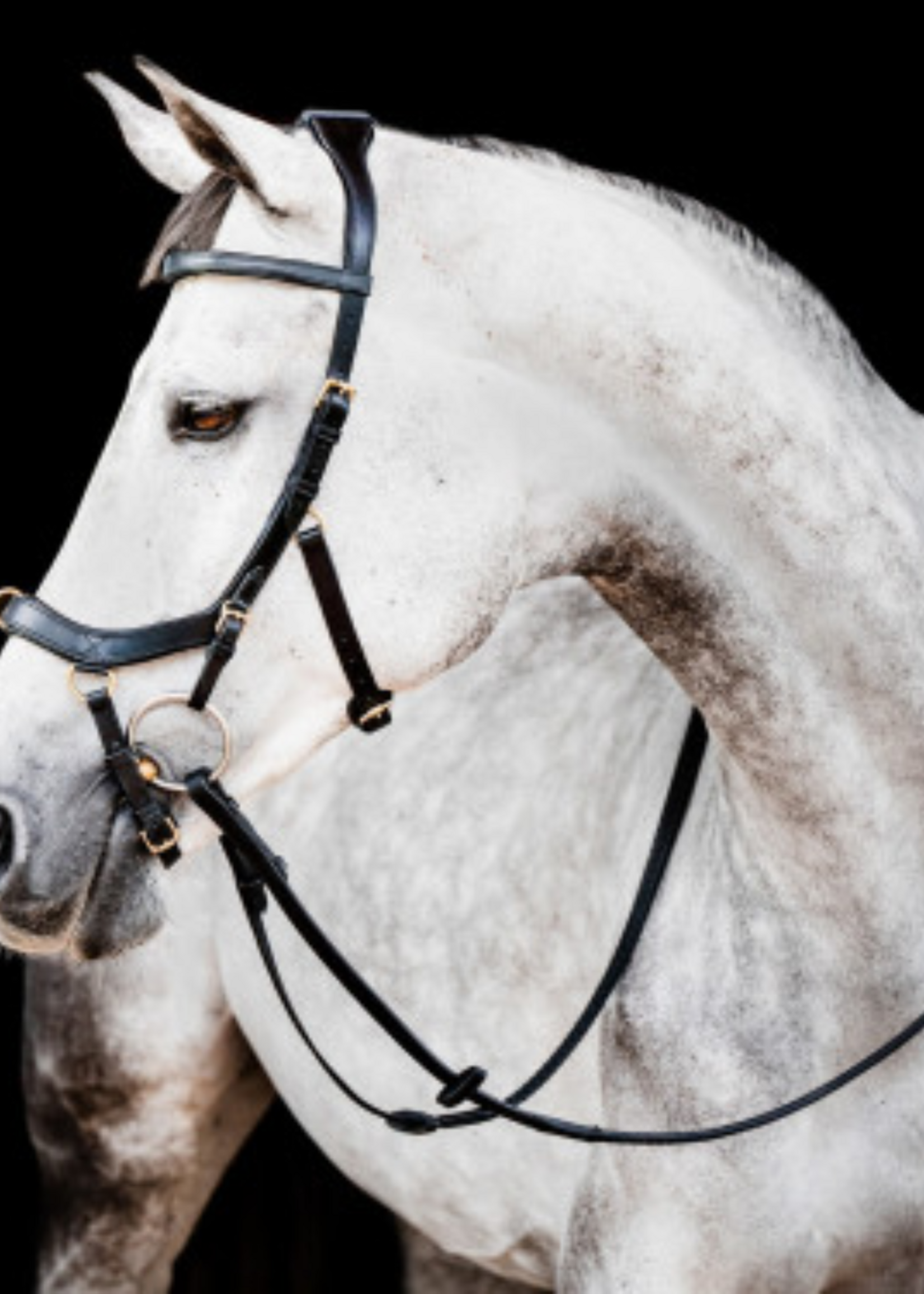 Horseware Horseware Rambo Micklem Multi Prof  Hoofdstel