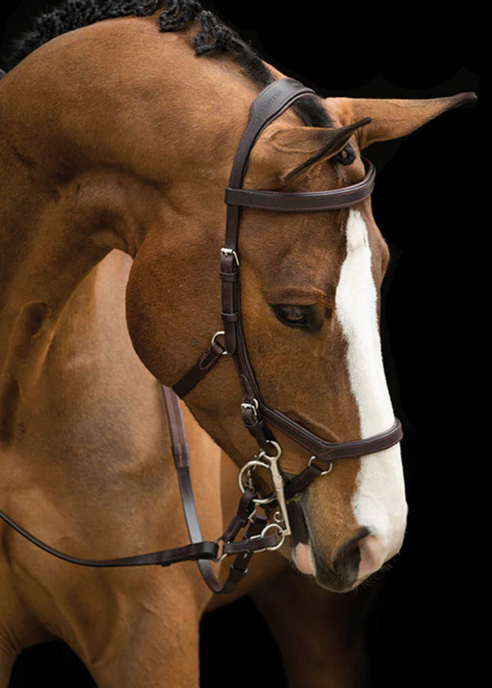 Horseware Horseware Rambo Micklem Competition  Hoofdstel