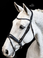 LJ Leathers LJ Blue Rock, Aansnoer,  Hoofdstel