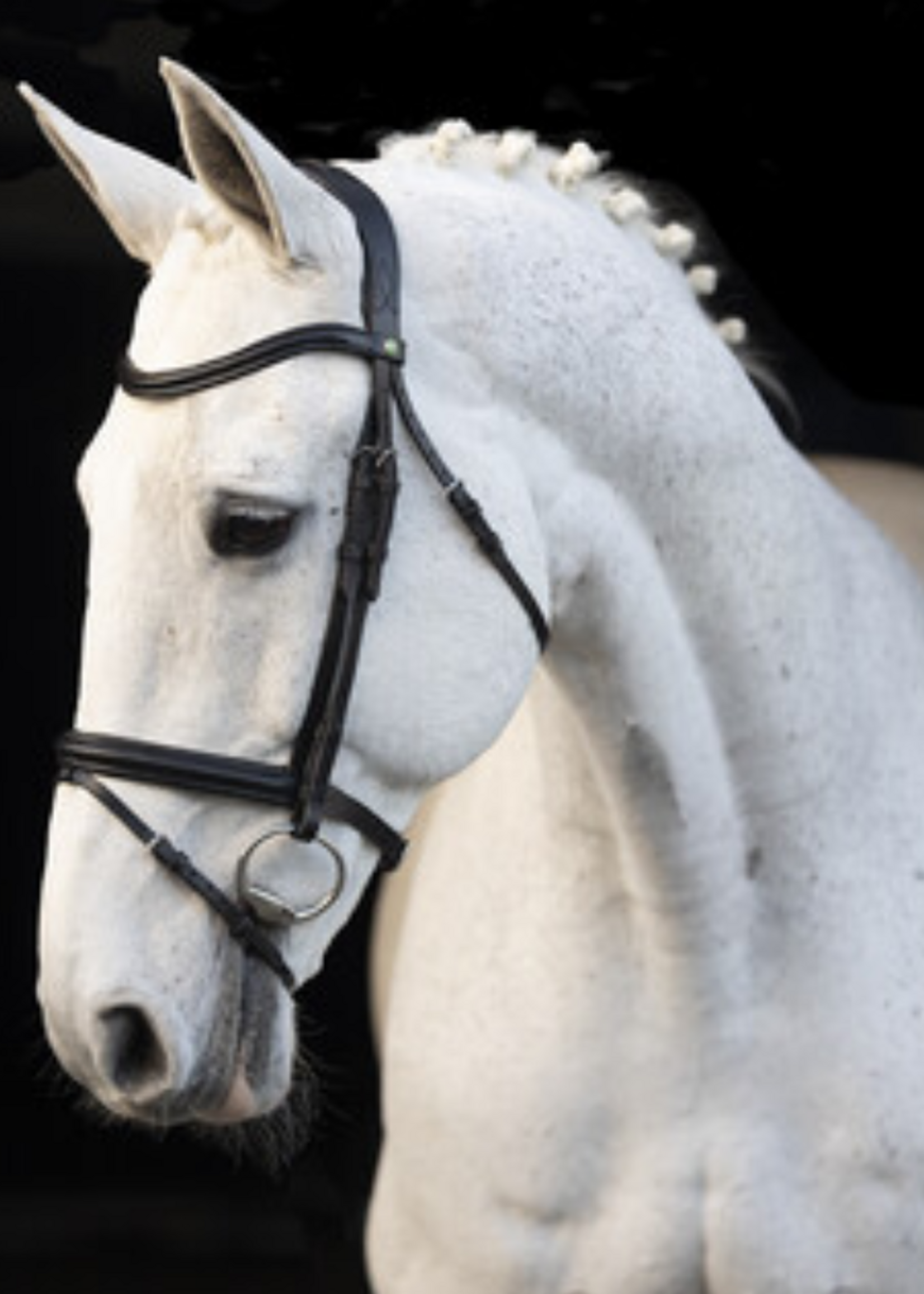 LJ Leathers LJ Classic Touch, Gecombineerd,  Hoofdstel 123