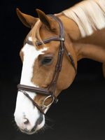 LJ Leathers LJ Classic Touch, Gecombineerd,  Hoofdstel