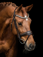 LJ Leathers LJ Dorado , lak,  aansnoer Hoofdstel