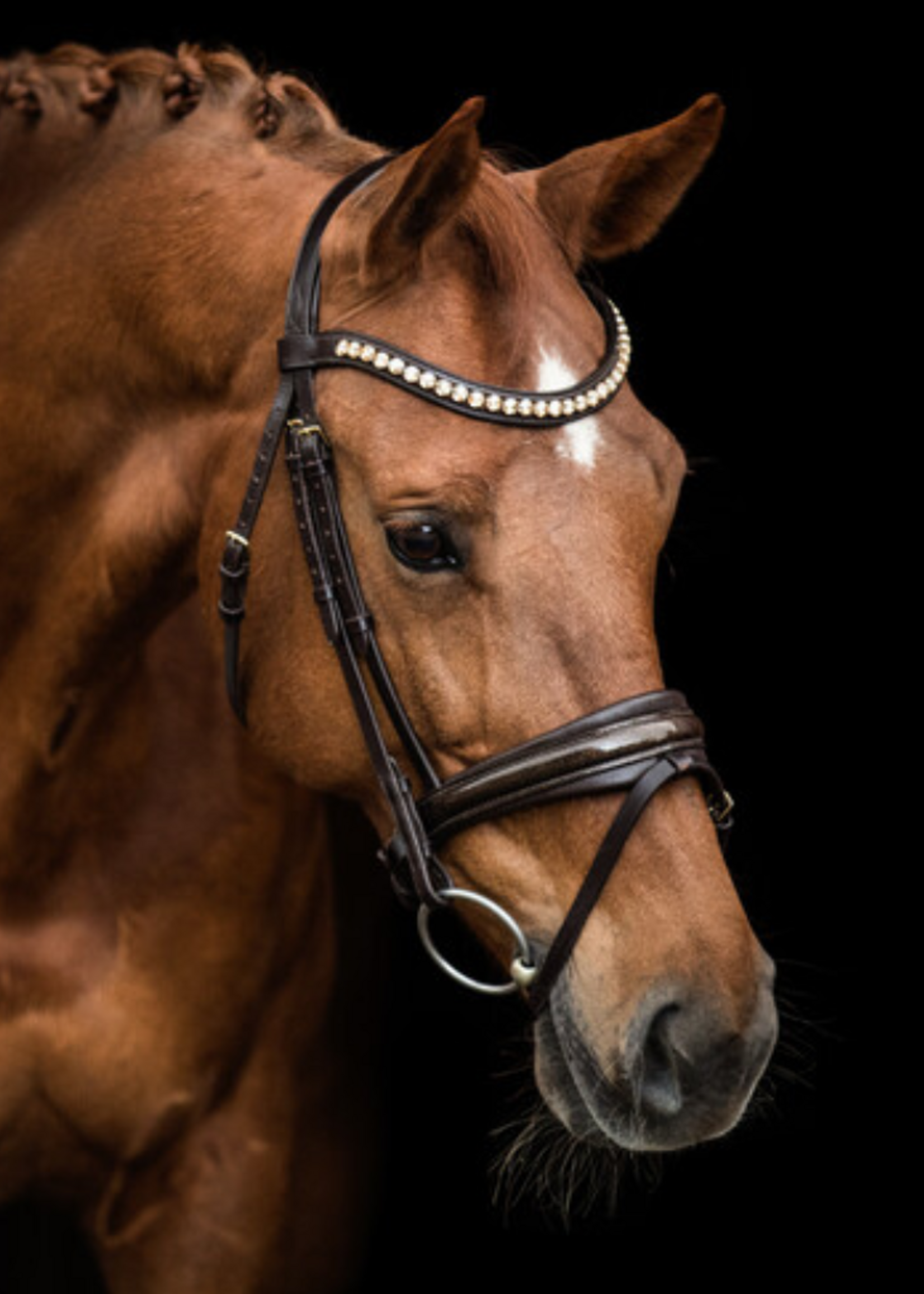 LJ Leathers LJ Dorado , lak,  aansnoer Hoofdstel