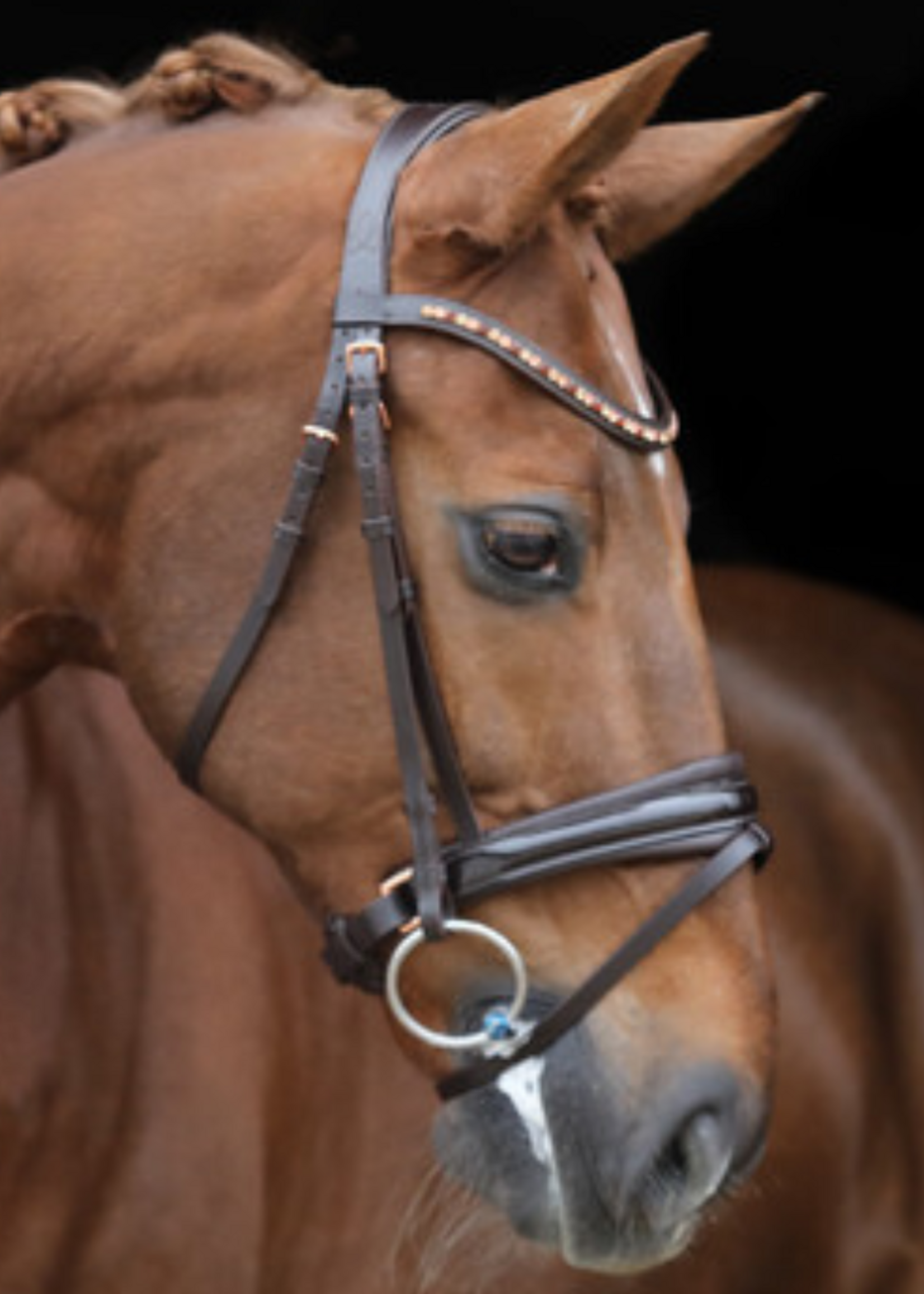 LJ Leathers LJ Hoofdstel Rose