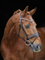 LJ Leathers LJ Hoofdstel Rose