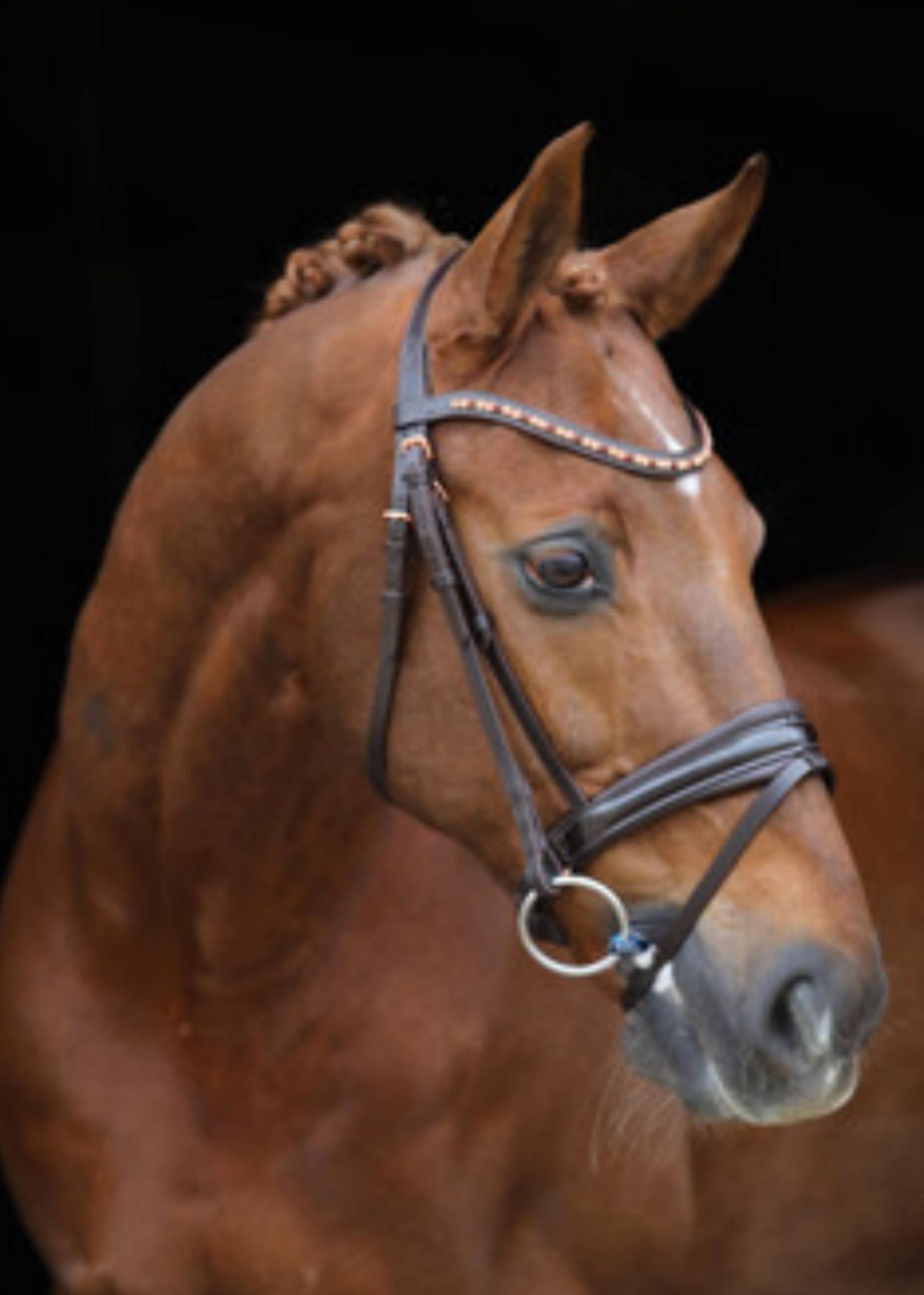 LJ Leathers LJ Hoofdstel Rose