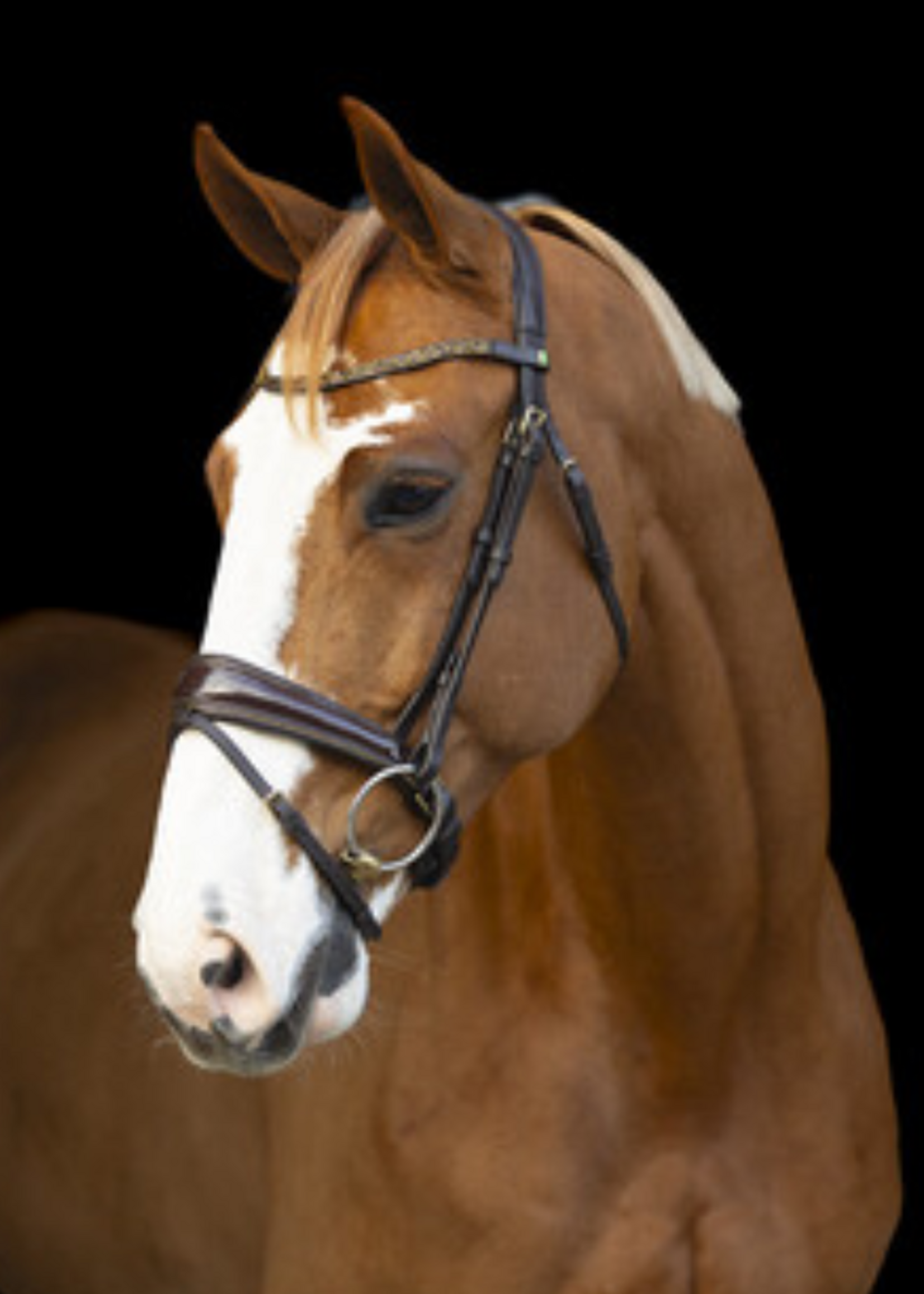 LJ Leathers LJ Golden Rock, Aansnoer,  Hoofdstel 168