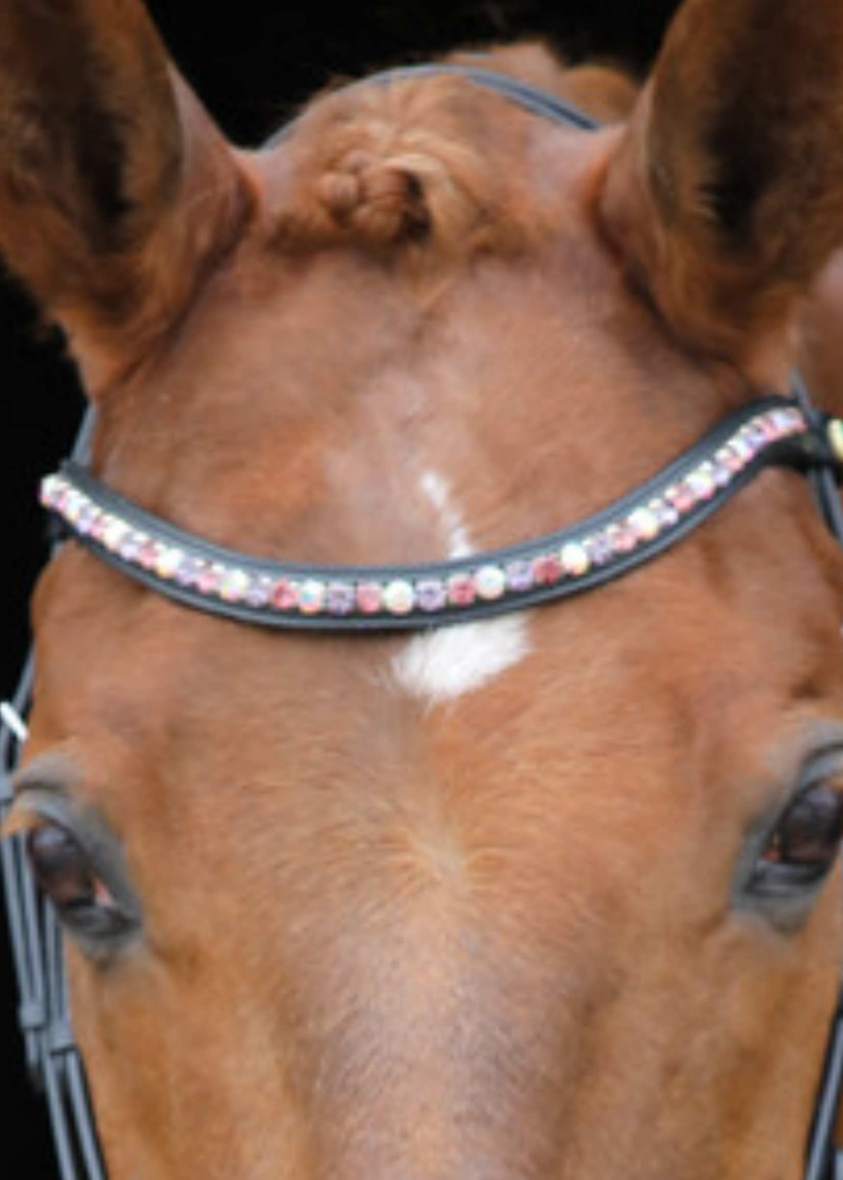 LJ Leathers LJ Hoofdstel Brownie