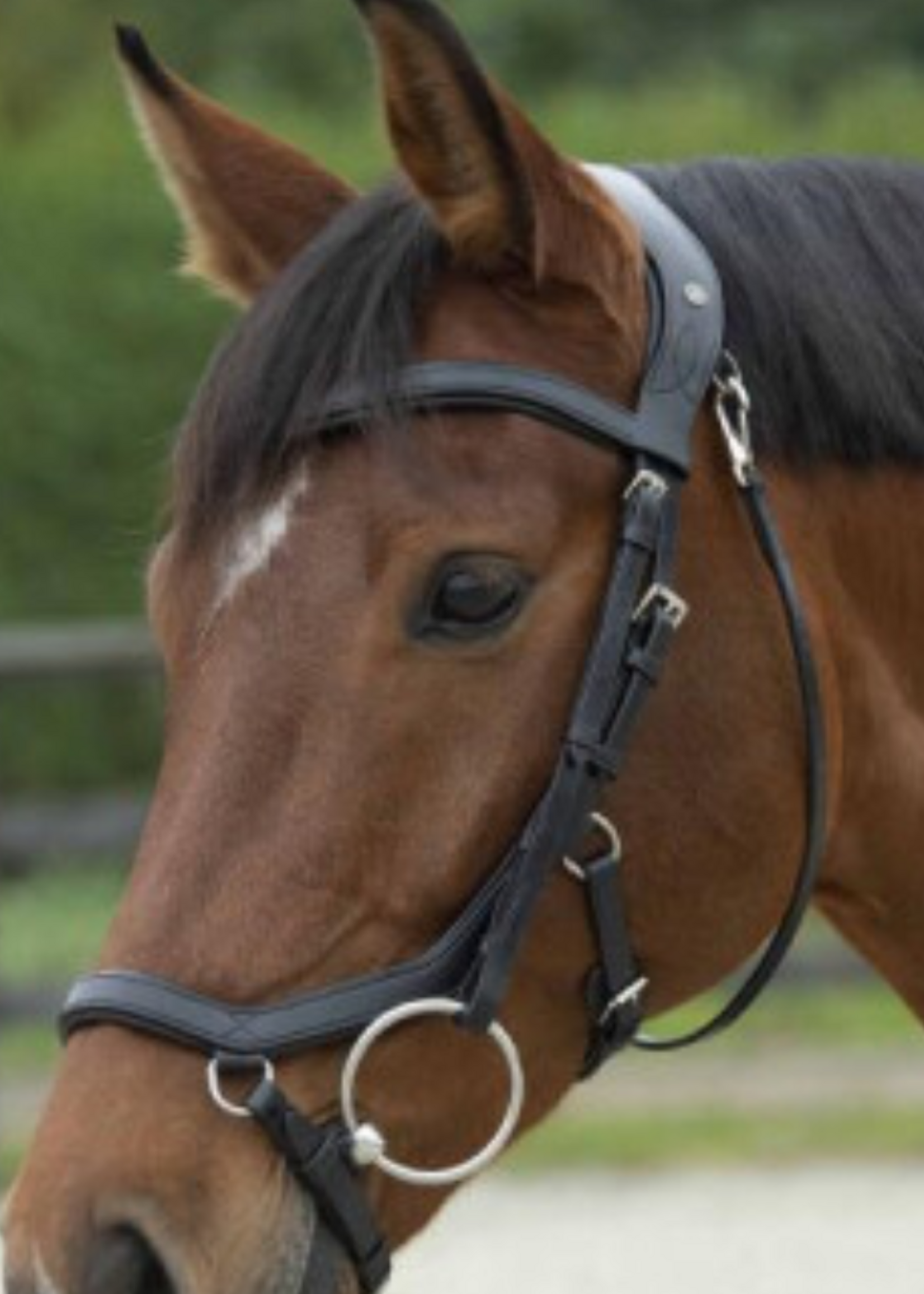 LJ Leathers LJ Legend , Mythos Hoofdstel