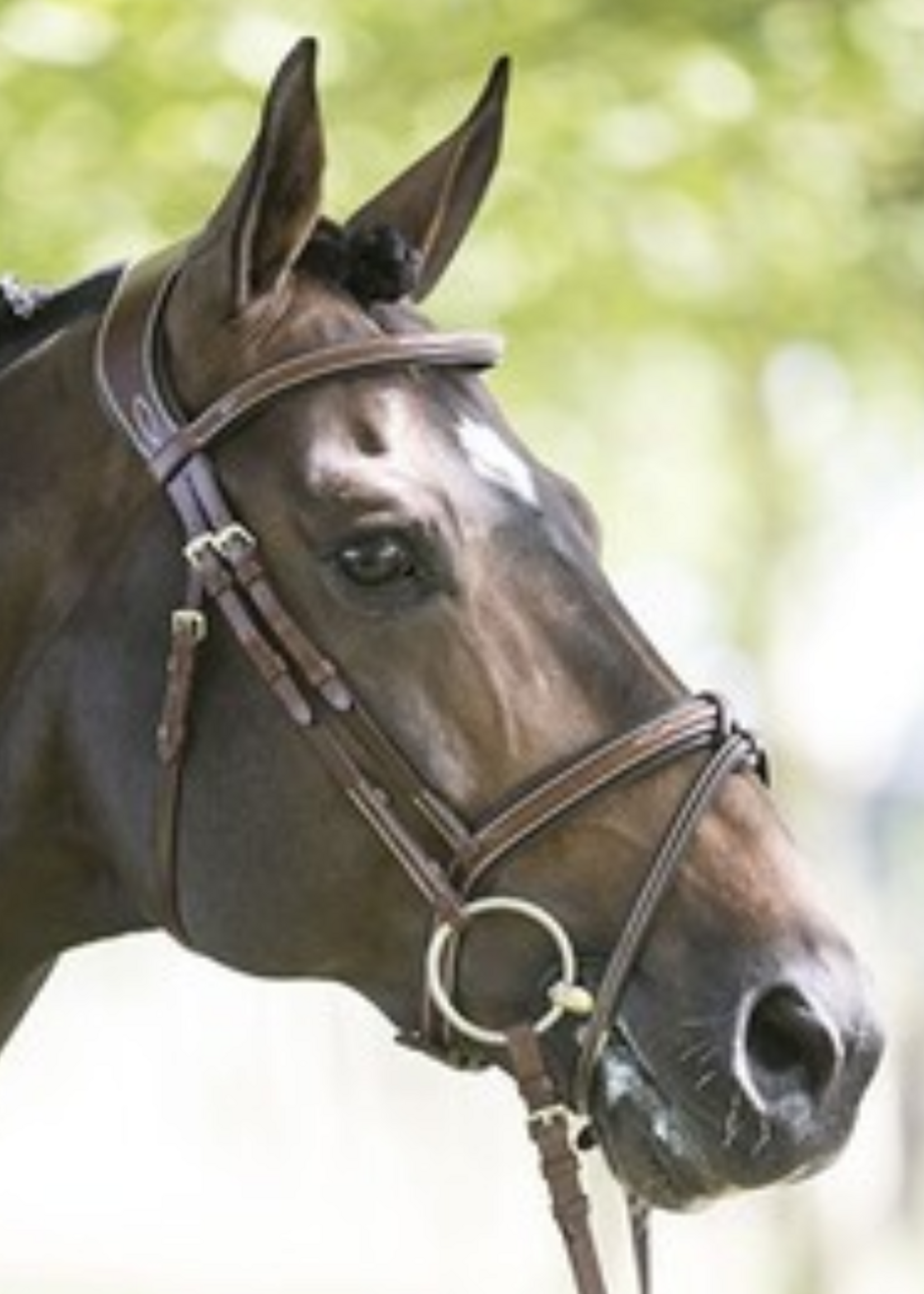 LJ Leathers LJ Legendary Hoofdstel