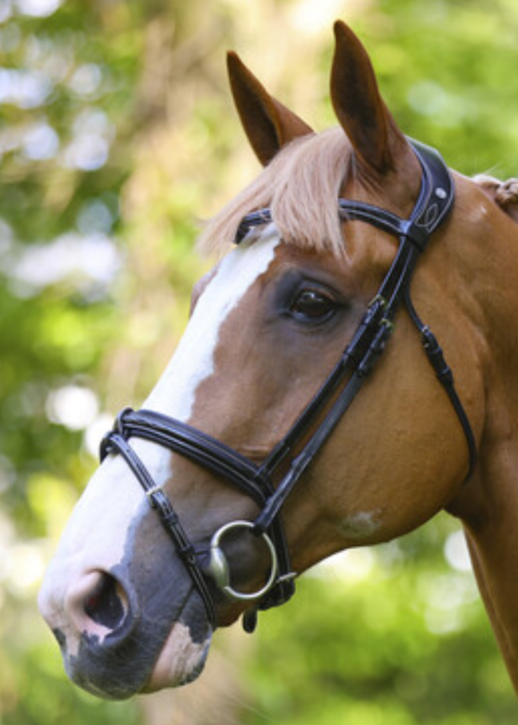 LJ Leathers LJ Legendary Hoofdstel