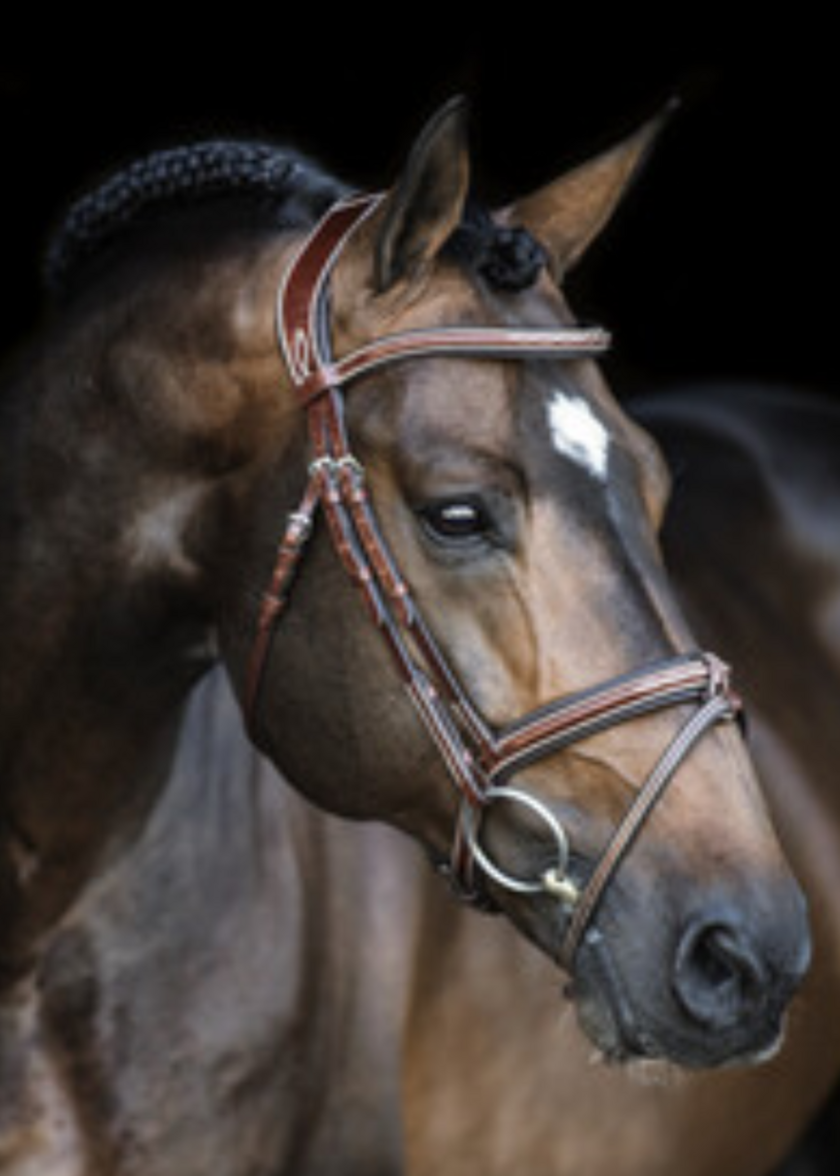 LJ Leathers LJ Legendary Hoofdstel