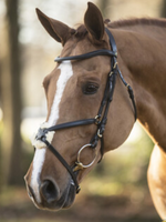 LJ Leathers LJ New Mexican ,Mexicaans,  Hoofdstel