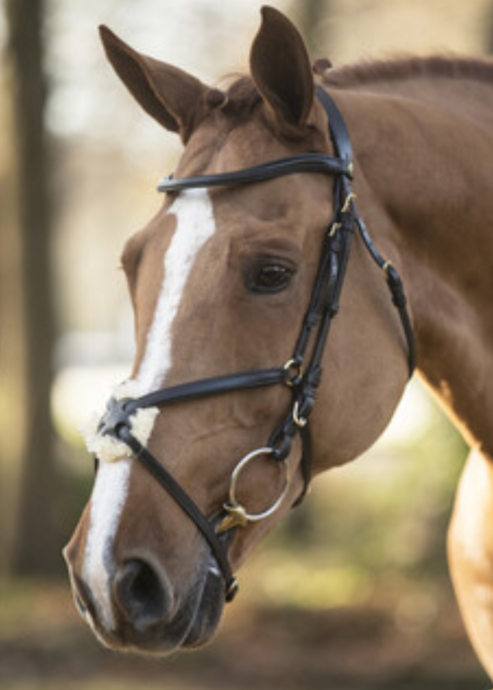 LJ Leathers LJ New Mexican ,Mexicaans,  Hoofdstel