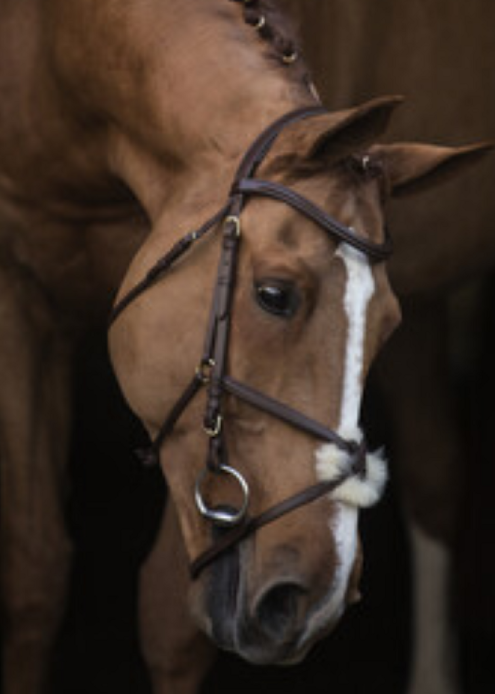 LJ Leathers LJ New Mexican ,Mexicaans,  Hoofdstel