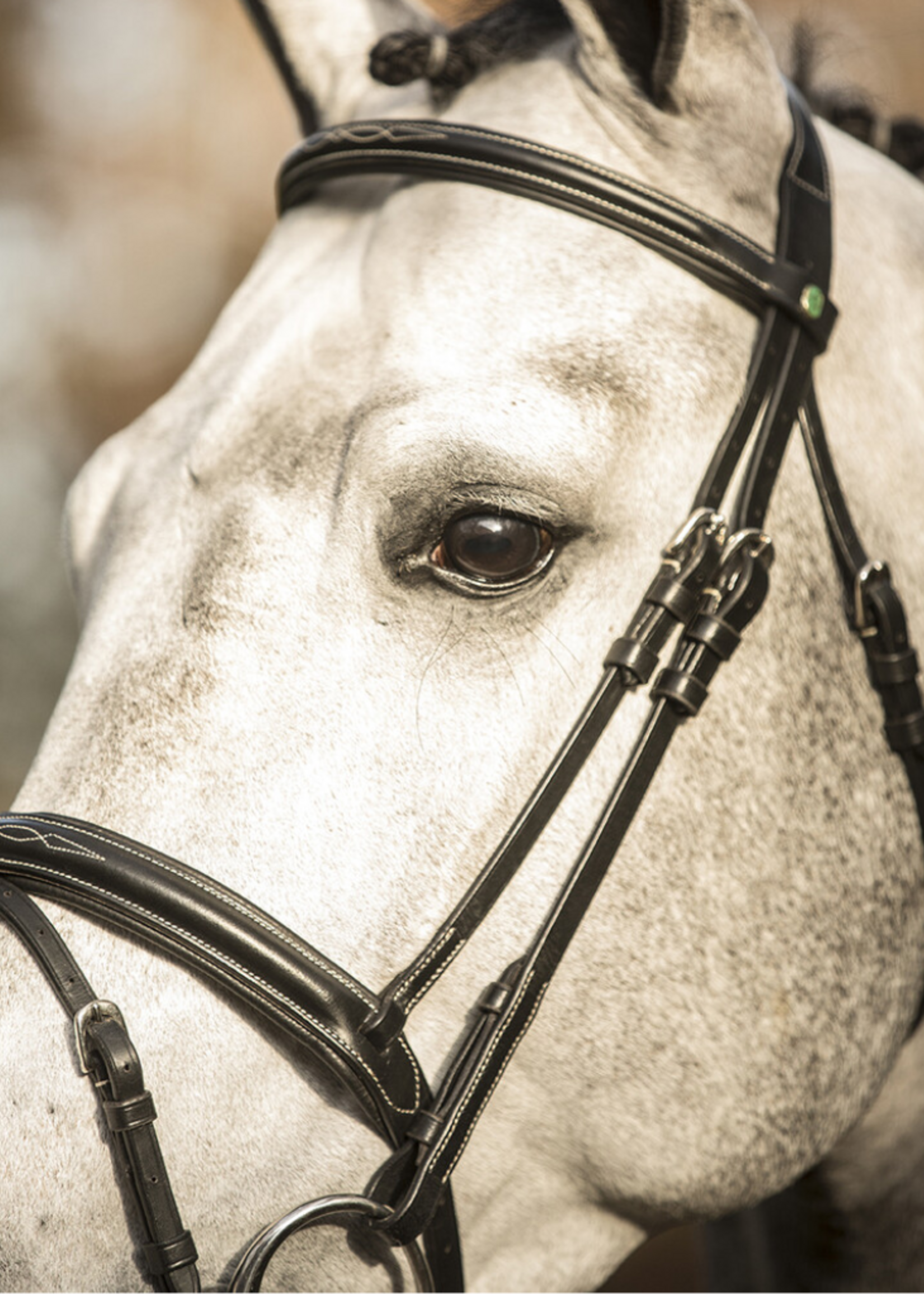 LJ Leathers LJ New Pro , gecombineerd,  Hoofdstel