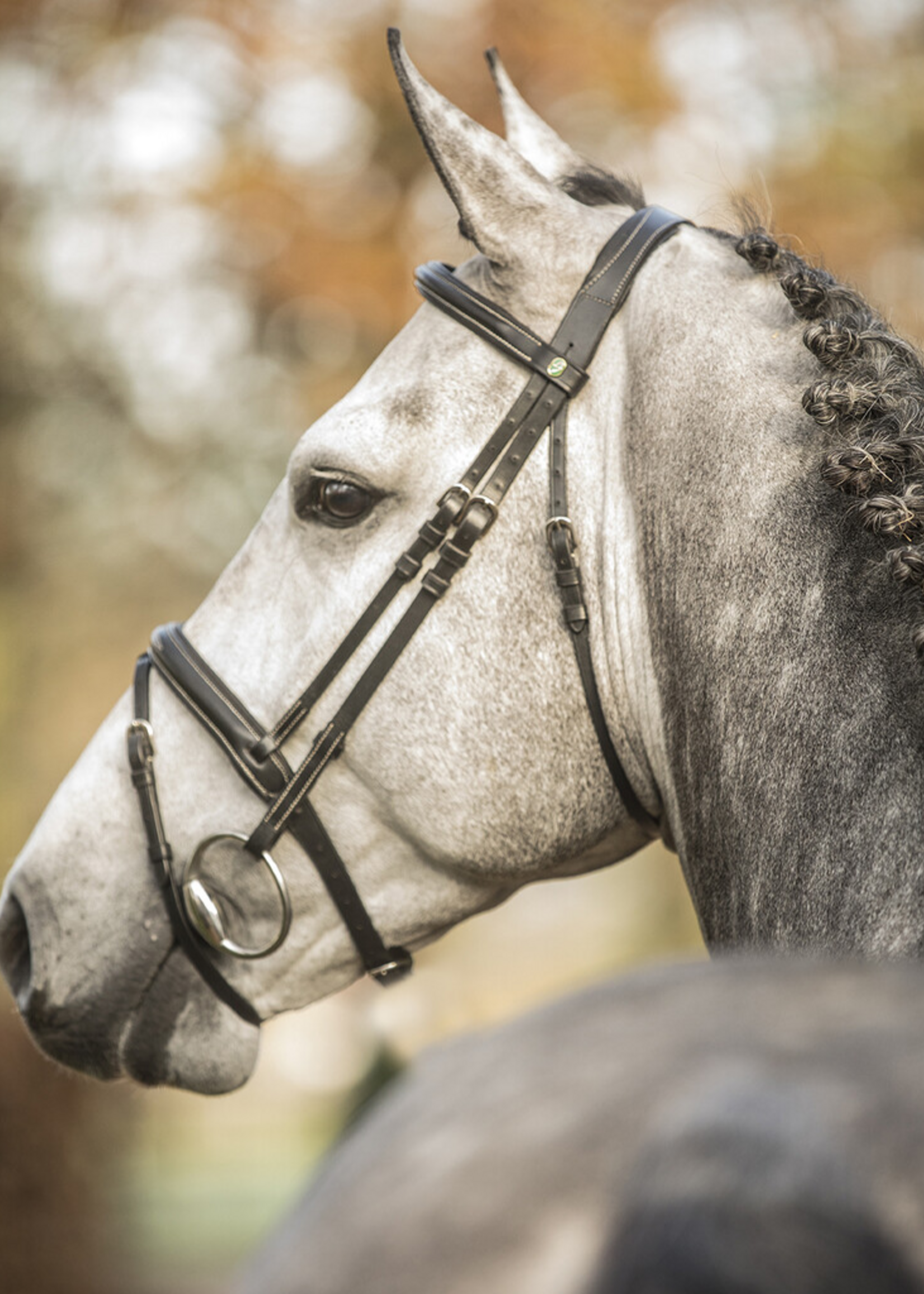 LJ Leathers LJ New Pro , gecombineerd,  Hoofdstel