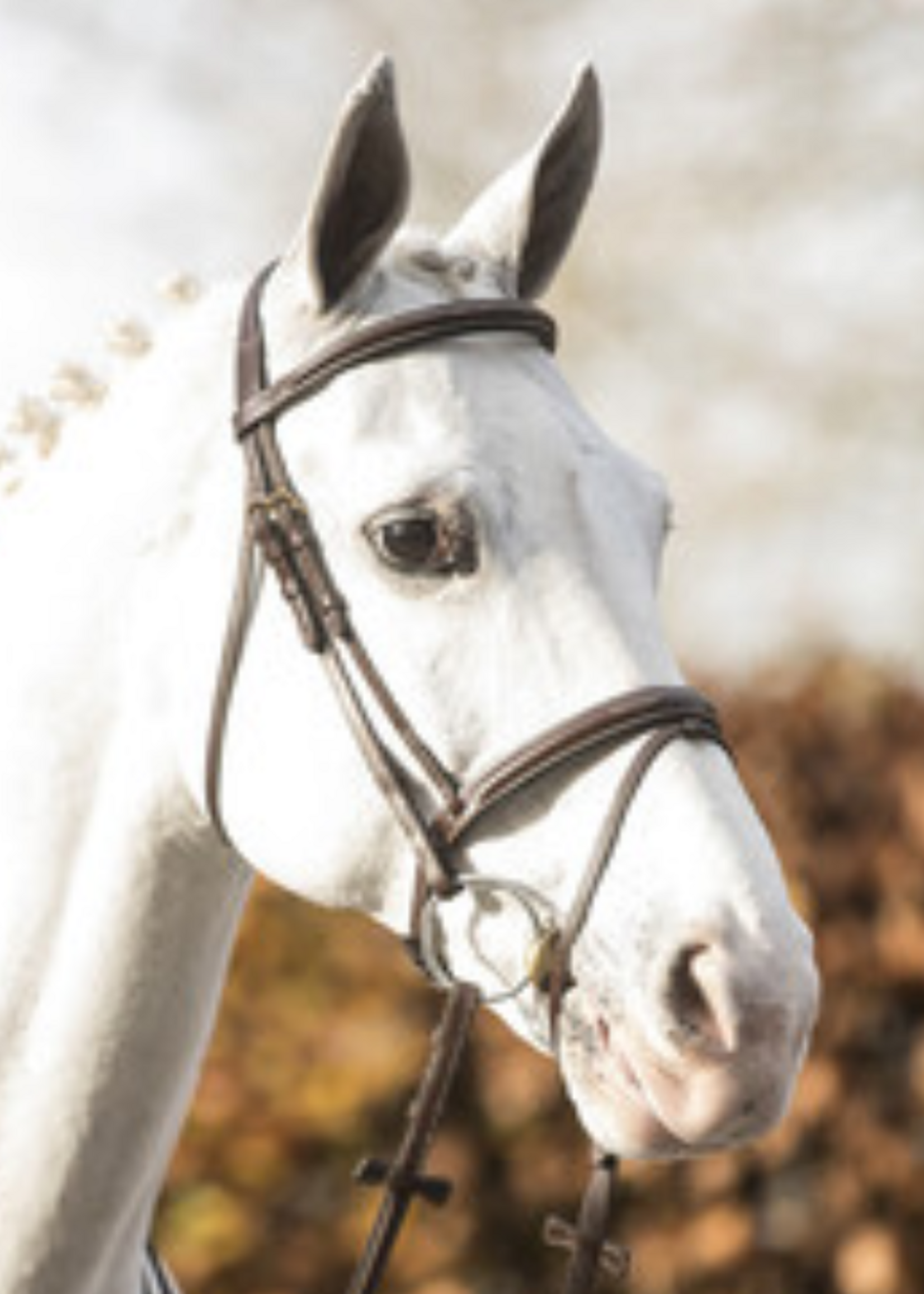 LJ Leathers LJ New Pro , gecombineerd,  Hoofdstel