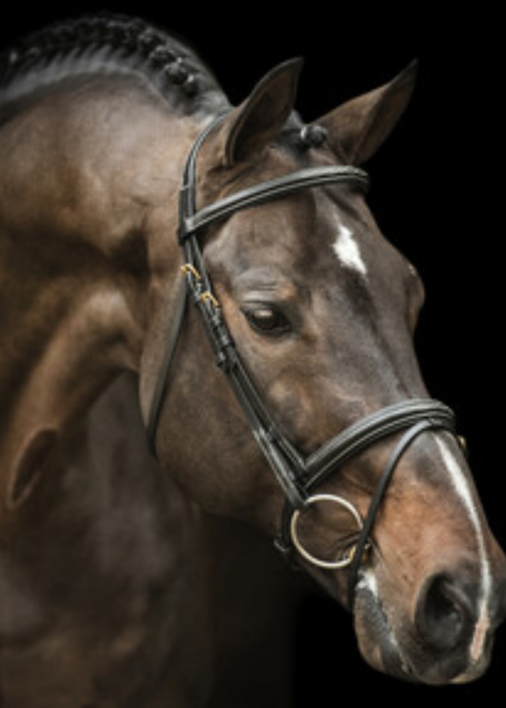 LJ Leathers LJ New Pro , gecombineerd,  Hoofdstel