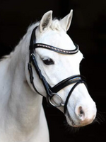 LJ Leathers LJ Pink Dream, gecombineerd Hoofdstel