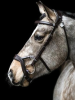 LJ Leathers LJ Pro , Jackson ,  Hoofdstel